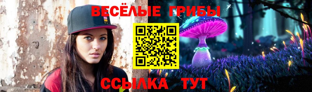 Армавир  Псилоцибиновые грибы Psilocybine cubensis  Вход с VPN  Псилоцибиновые грибы MAGIC MUSHROOMS 