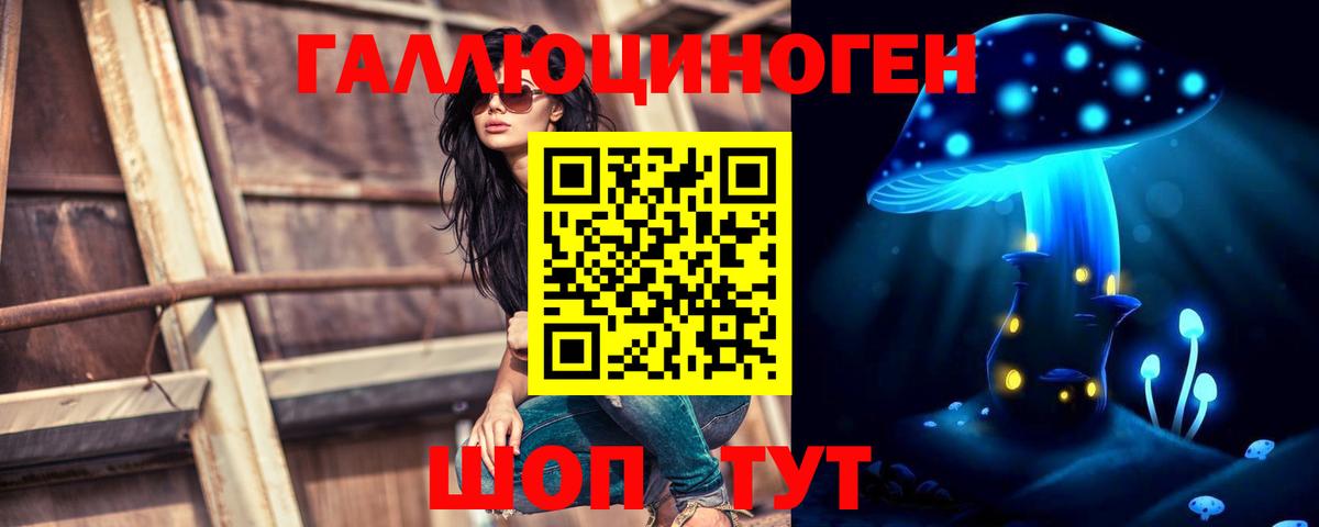 Псилоцибиновые грибы мицелий Армавир